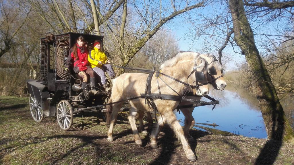 Вилла Zoopark Zelcin Мельник Экстерьер фото